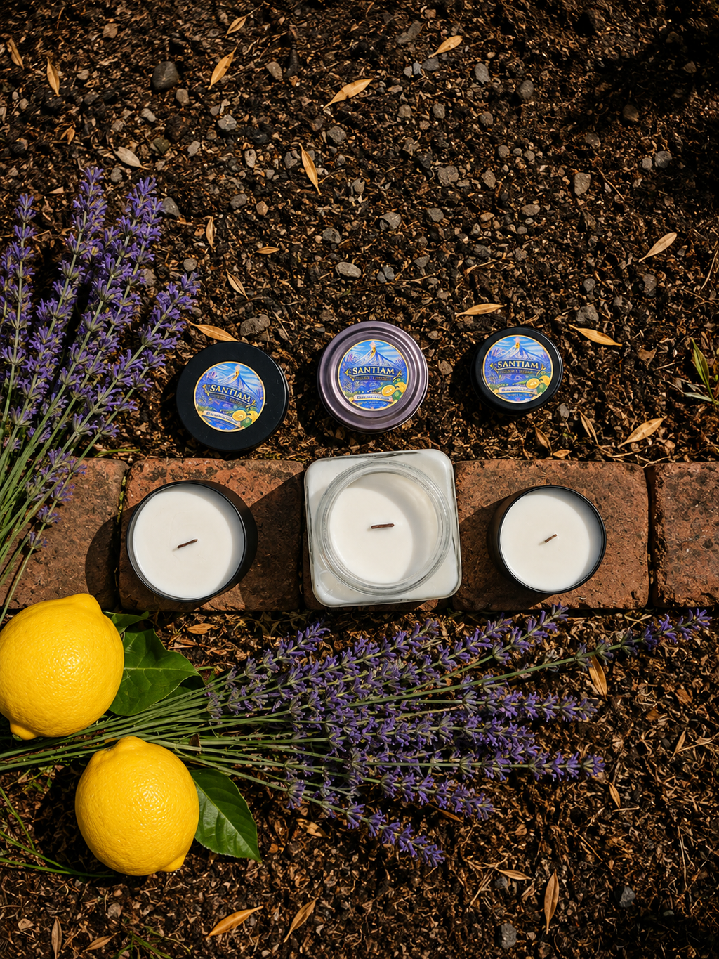 Botanical Citrus | 15.5 oz Handcrafted Soy Candle