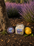 Botanical Citrus | 15.5 oz Handcrafted Soy Candle