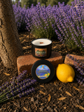 Botanical Citrus | 7 oz Handcrafted Soy Candle