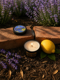 Botanical Citrus | 3.5 oz Handcrafted Soy Candle